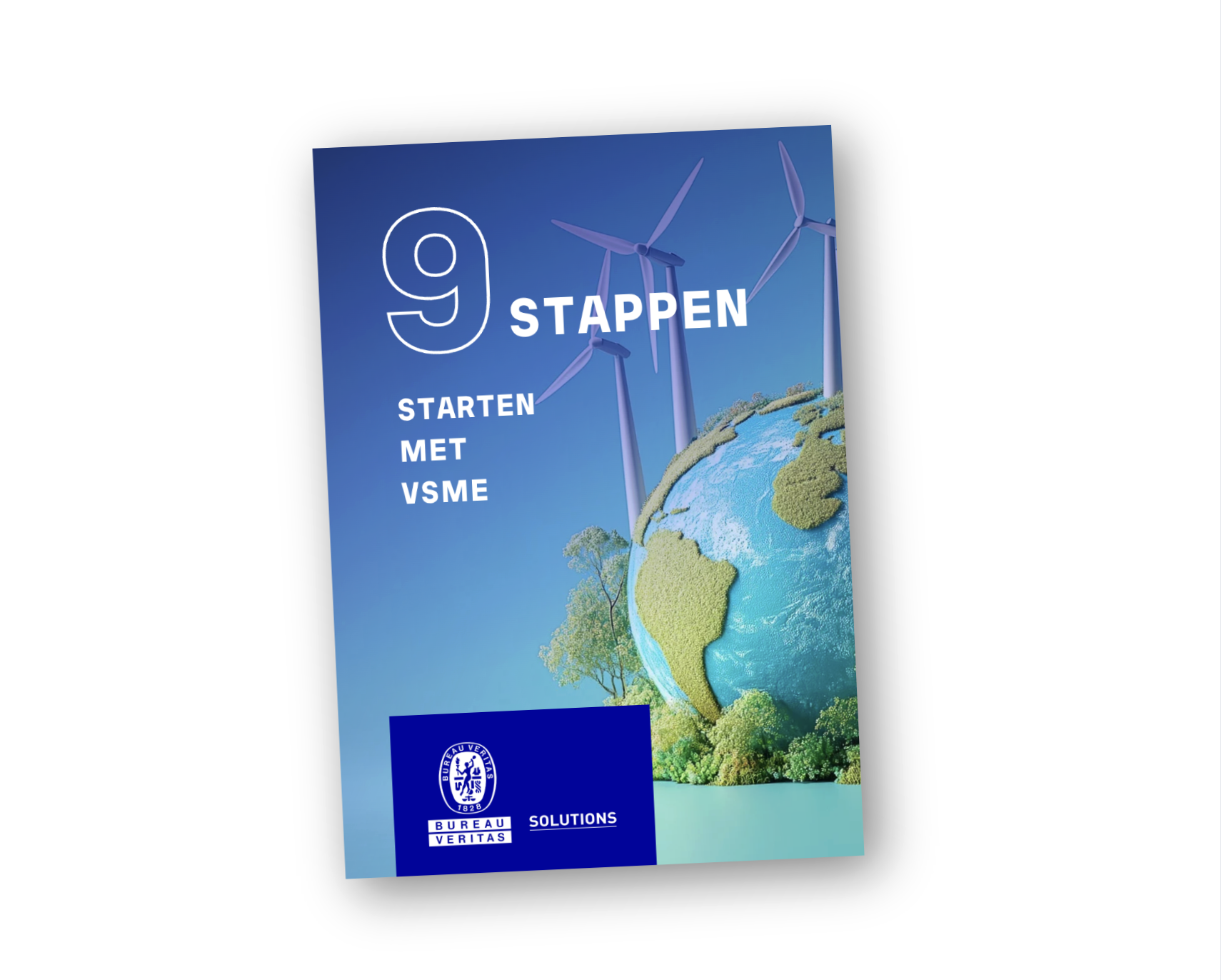 VSME checklist Bureau Veritas 