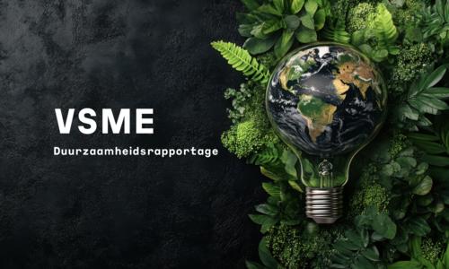 VSME test