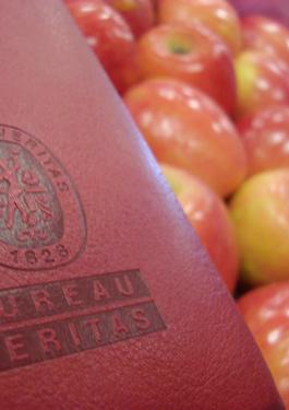Appels met Bureau Veritas logo
