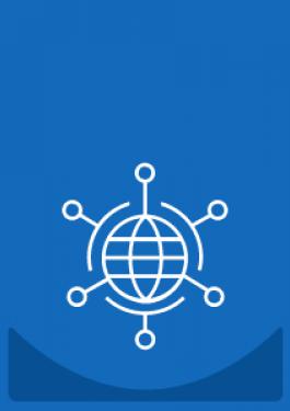 global network