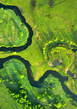Groene luchtfoto
