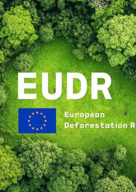 EUDR DEFORESTATION REGULATION 