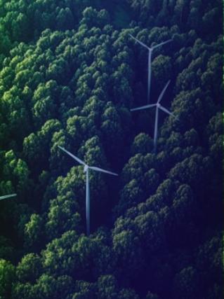 EUDR kennis van duurzame ketens