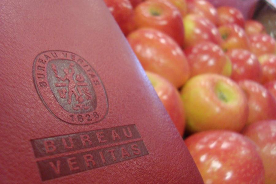 Appels met Bureau Veritas logo