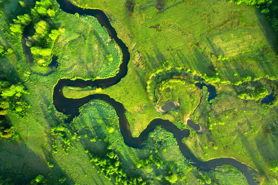 Groene luchtfoto