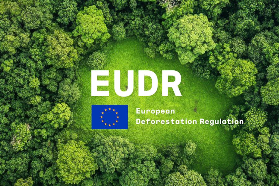 EUDR hero image