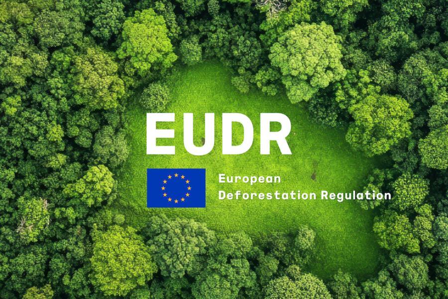 EUDR DEFORESTATION REGULATION 